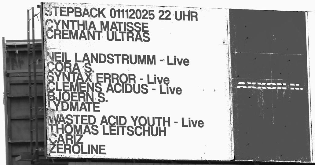 Vinylschleifer Stepback