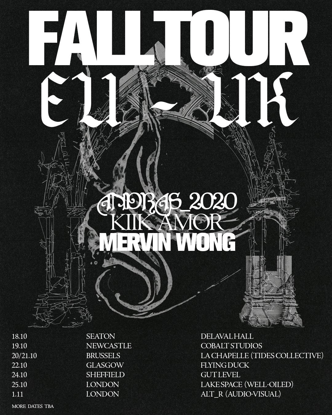 Kiik Amor & Mervin Wong  Live [Fall Tour Uk/Eu]