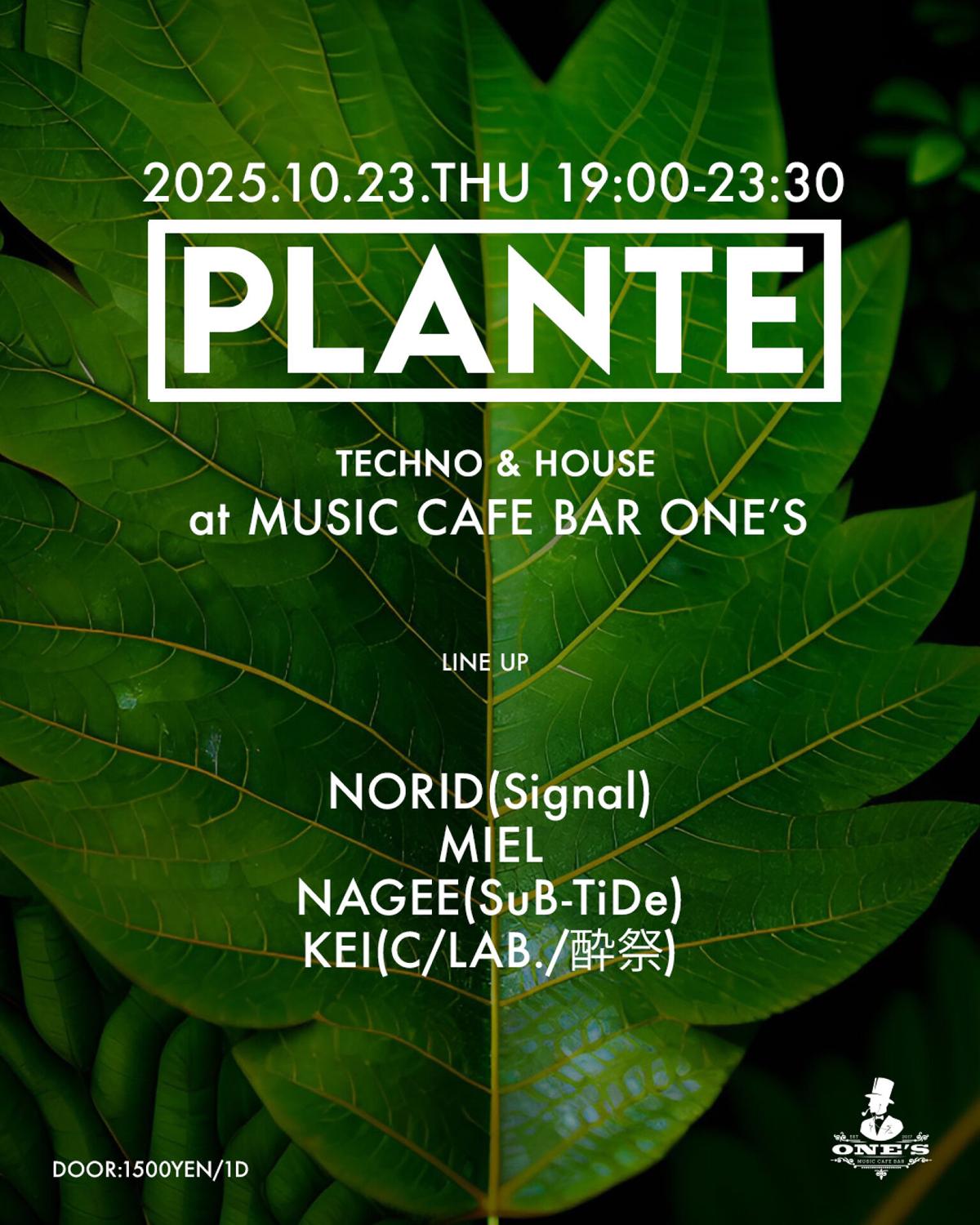 Plante