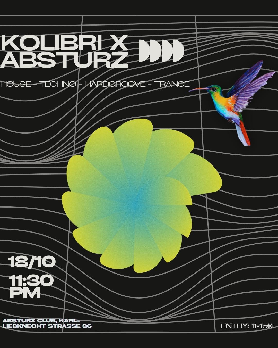 X Kolibri X Absturz X