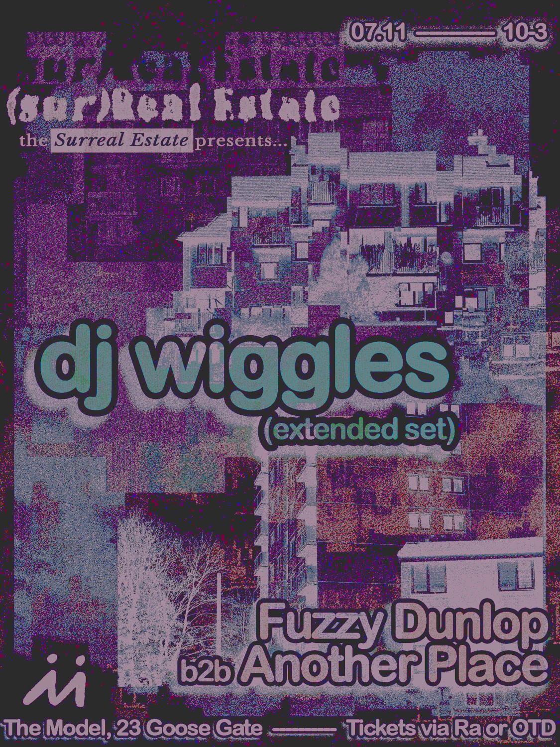 Surreal Estate: Dj Wiggles, Another Place, Fuzzy Dunlop