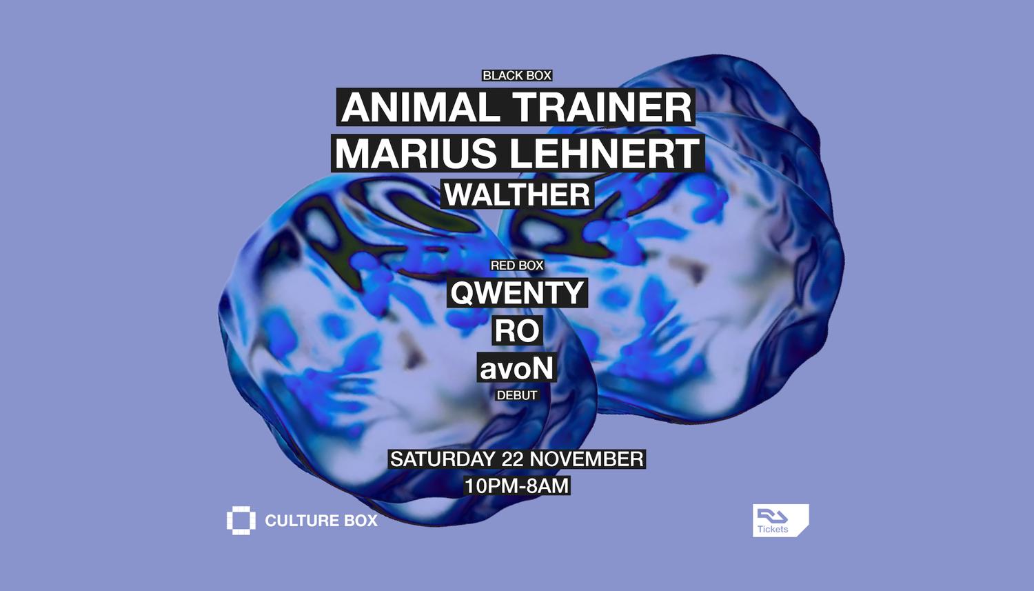 Animal Trainer / Marius Lehnert / Walther / Debut: Qwenty / Ro / Avon