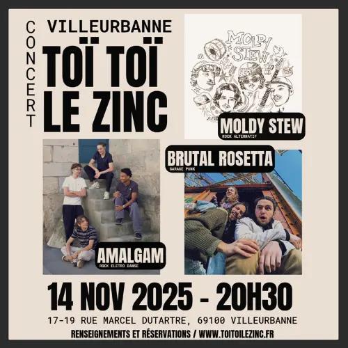 Amalgam + Brutal Rosetta + Moldy Stew