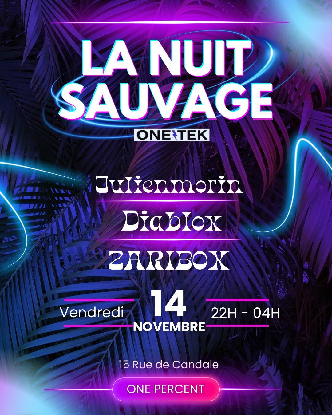 La Nuit Sauvage