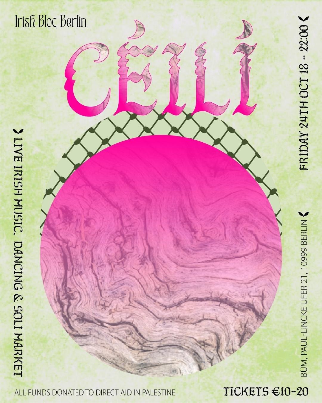 Soli-Céilí By The Irishblocberlin