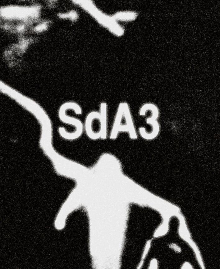 Sda3: Rat Section (Live), Dj Gonz (Live)