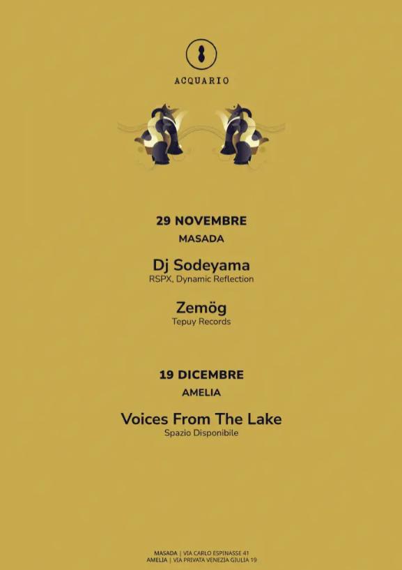 Voices From The Lake // Acquario (Amelia)