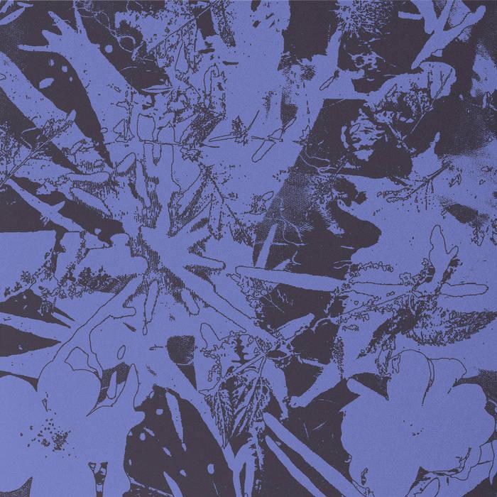 Plants Heal ~ 'Forest Dwellers' Album Launch