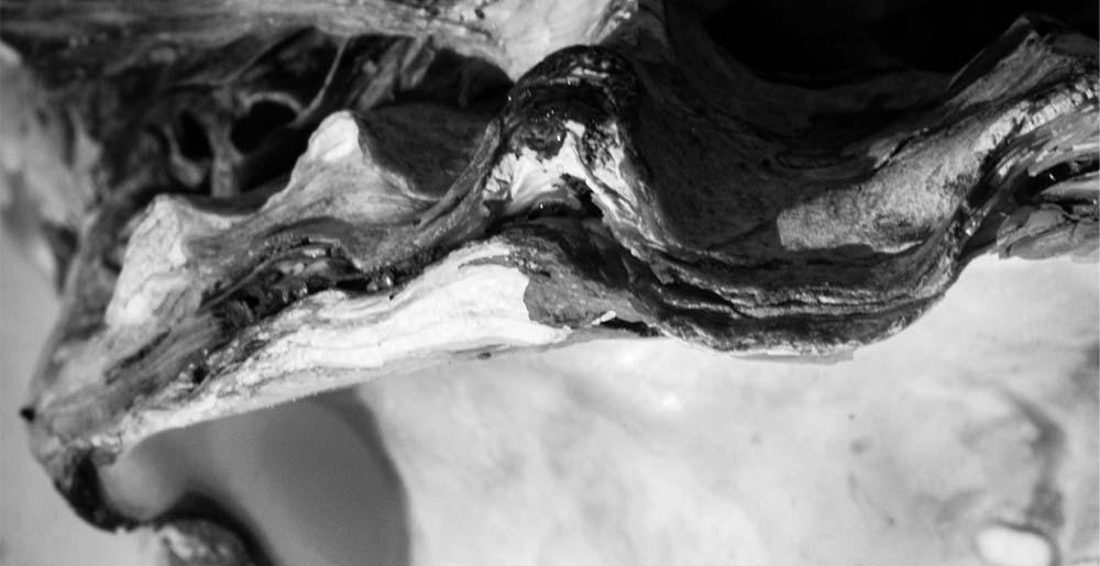 Macadam X Collectif 360 • Odjo ~ Johan