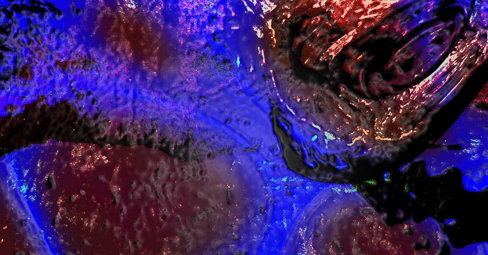 Dies Fasti • 22H - 07H • Madam X ~ Le Kaiju (Live) ~ Yasmina Bee ~ Vozè (Live) ~ David David