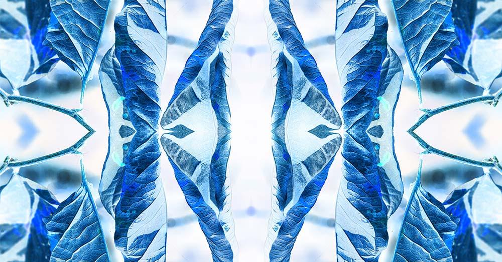 Gloria • Roman Flügel ~ Justine Perry ~ Combe ~ Moksha B2B Jacky Jeane ~ Mimuza