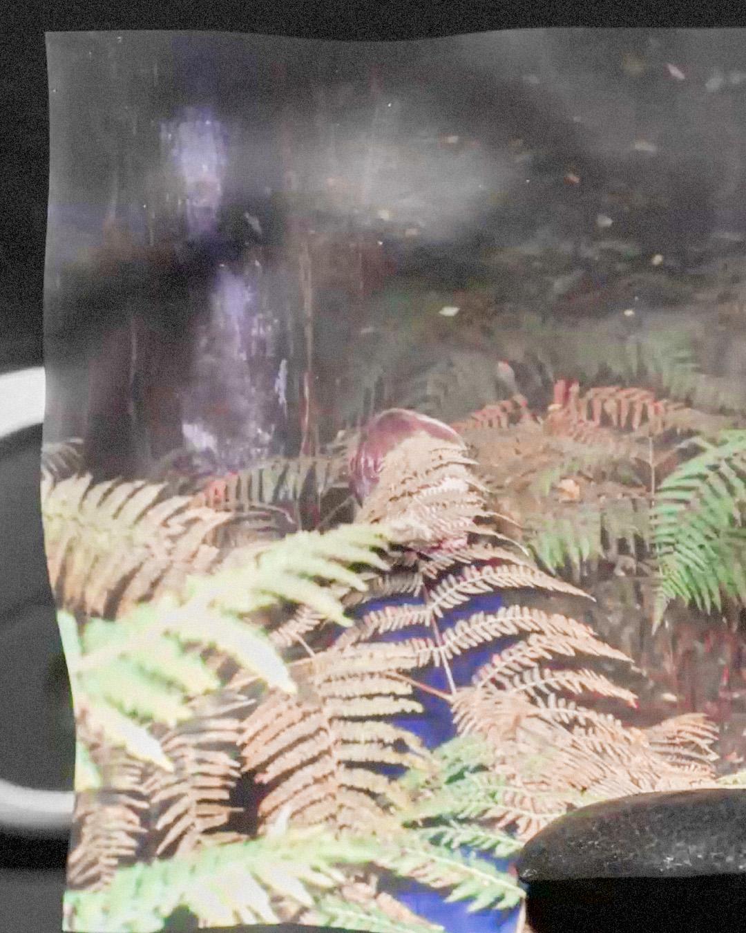 Cruise With Dj Qu, Kareem El Morr, Muallem, Newa, Xdb