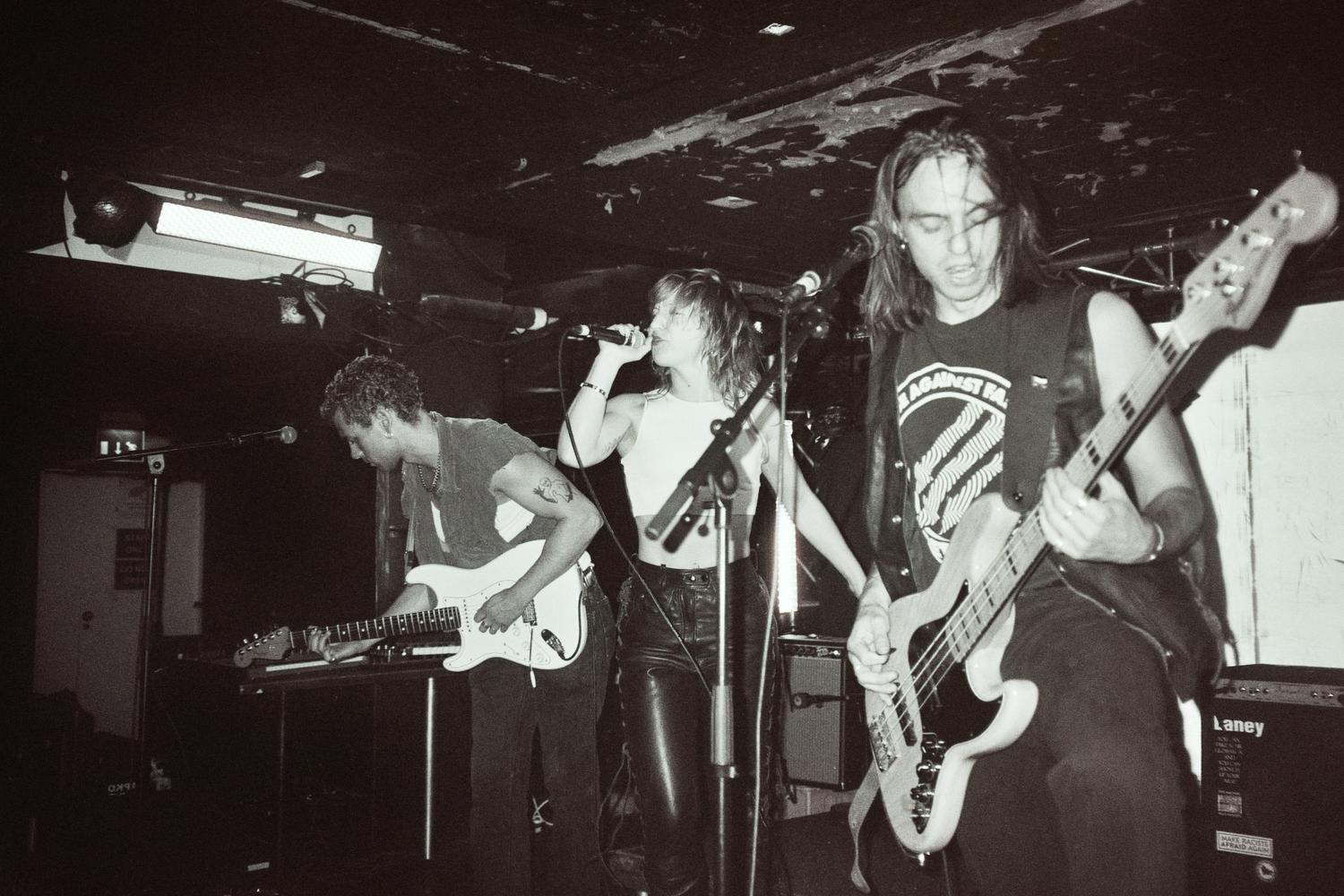 Kollapszone Pres.: Die Anstalt + Sleepwalking Industries