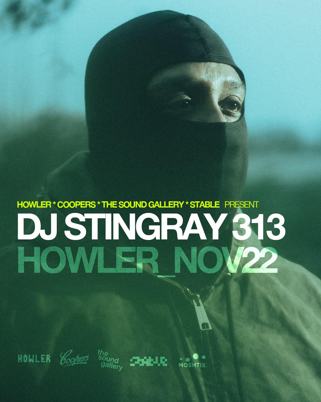 Dj Stingray 313 (Detroit, Usa)