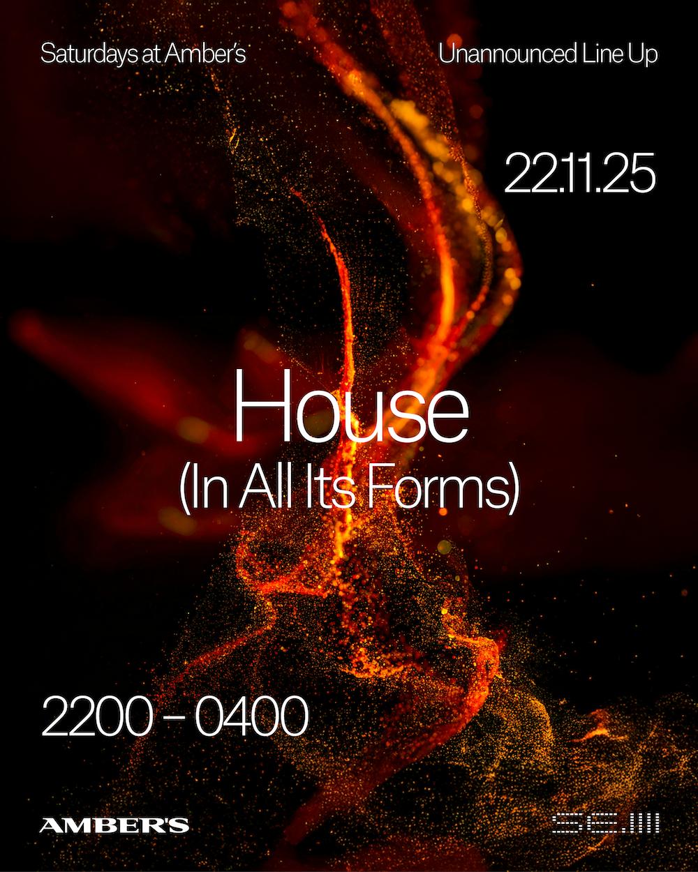 Saturday'S At Amber'S - House (In All Its Forms)