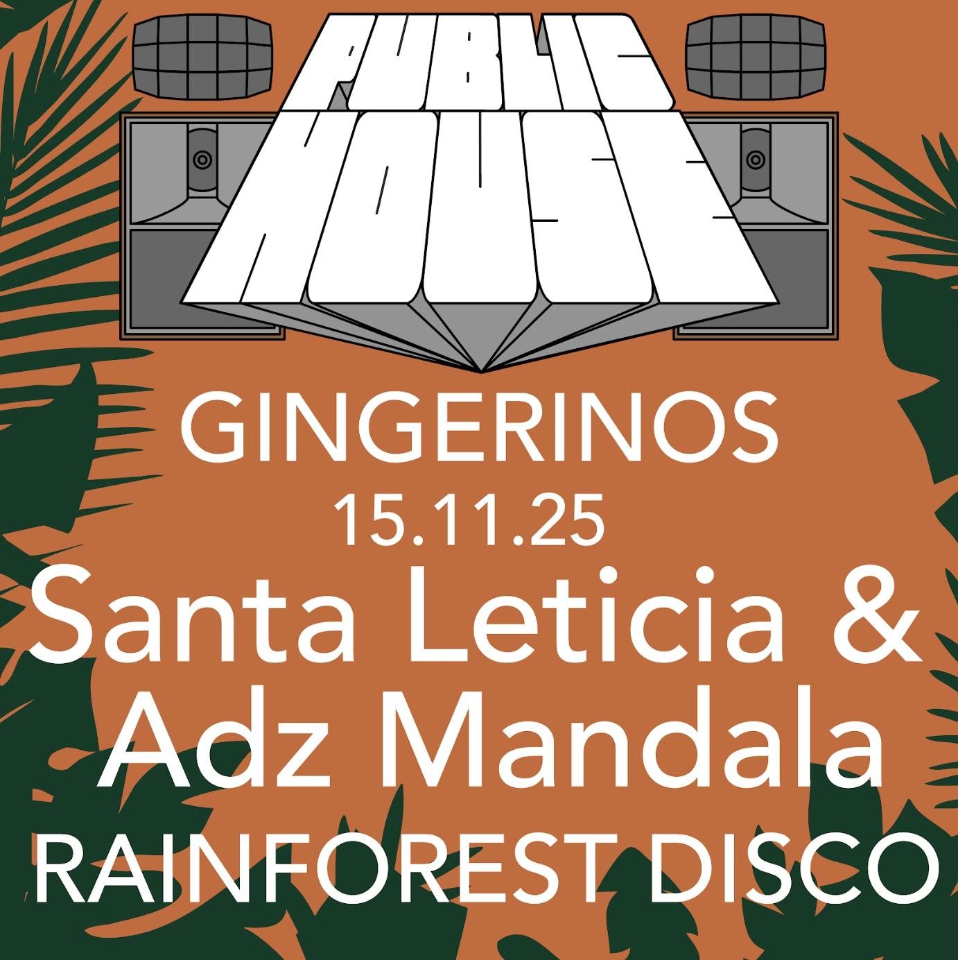 Public House Hifi Presents Rainforest Disco (Santa Leticia & Adz Mandala)