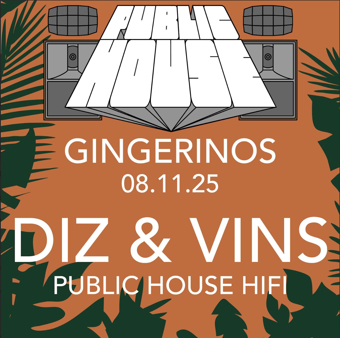Public House Hifi Presents Diz & Vinny
