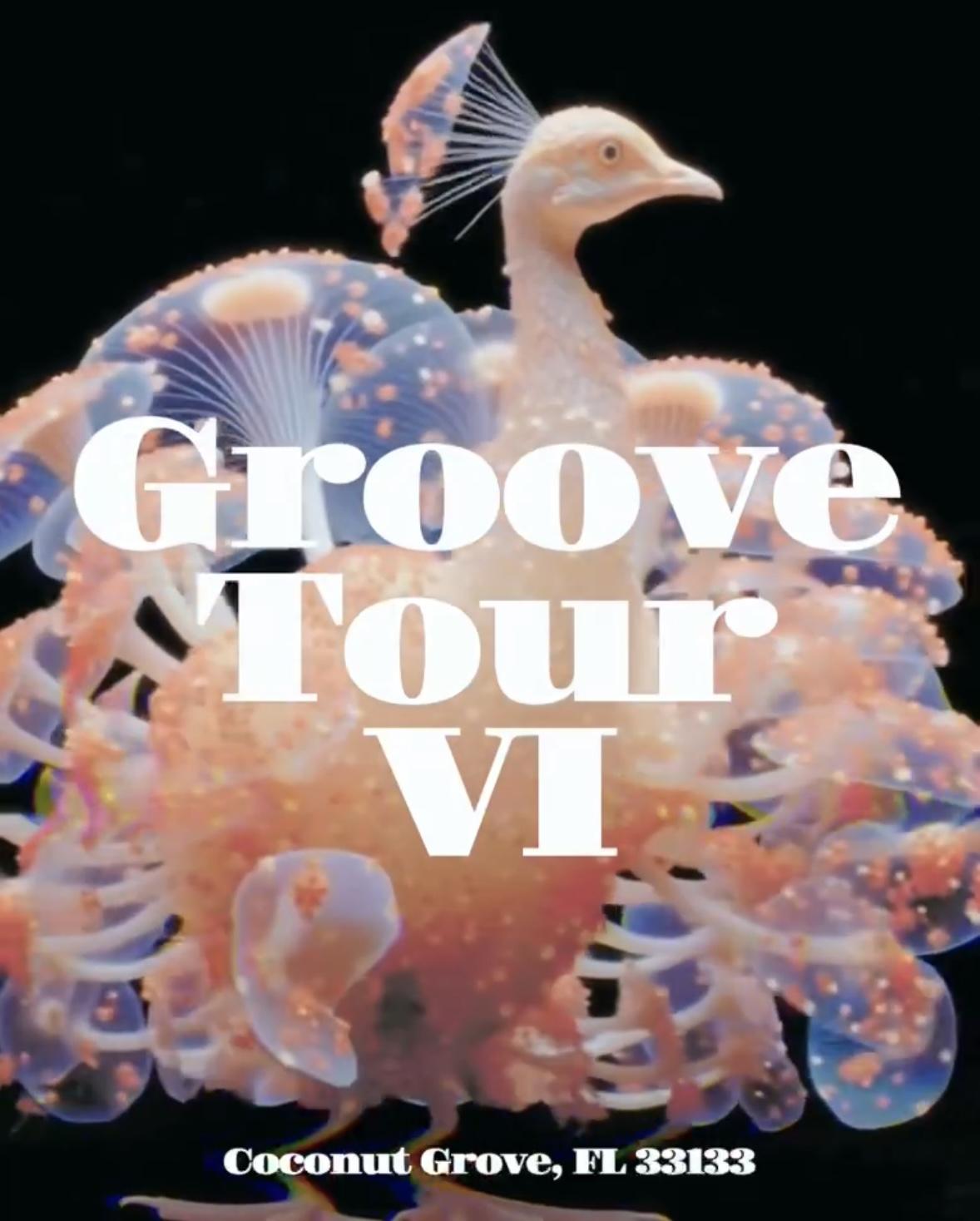 Groove Tour Vi