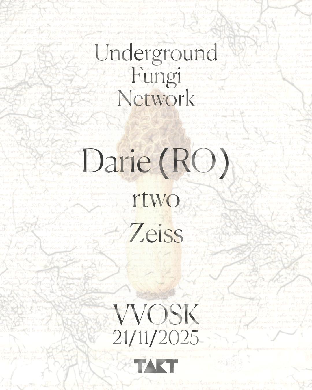 Underground Fungi Network Iii