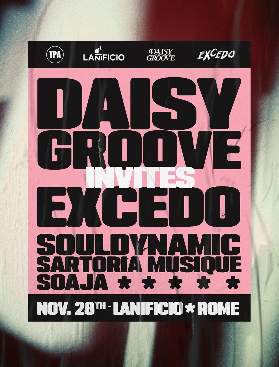 Daisy Groove Invites Excedo