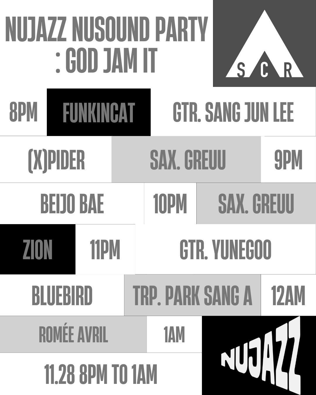 Nujazz Nusound Party At Scr