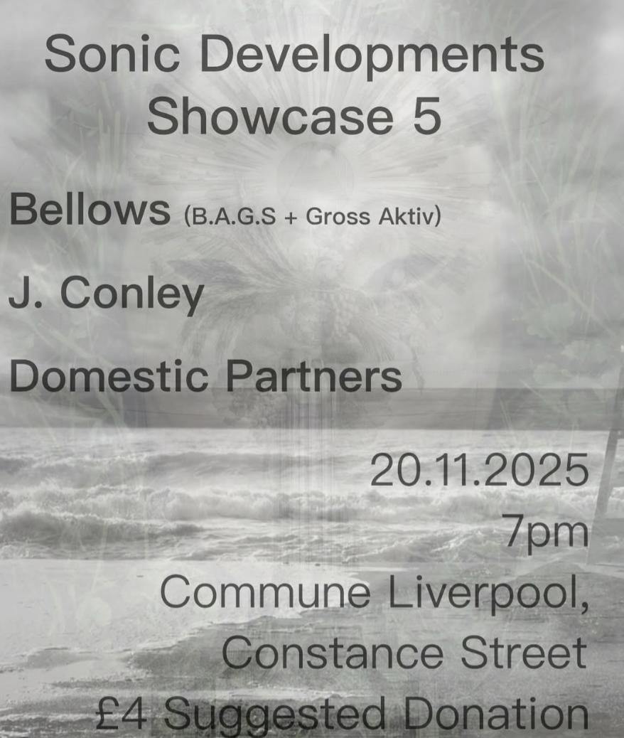 Sonic Developments: Showcase 5