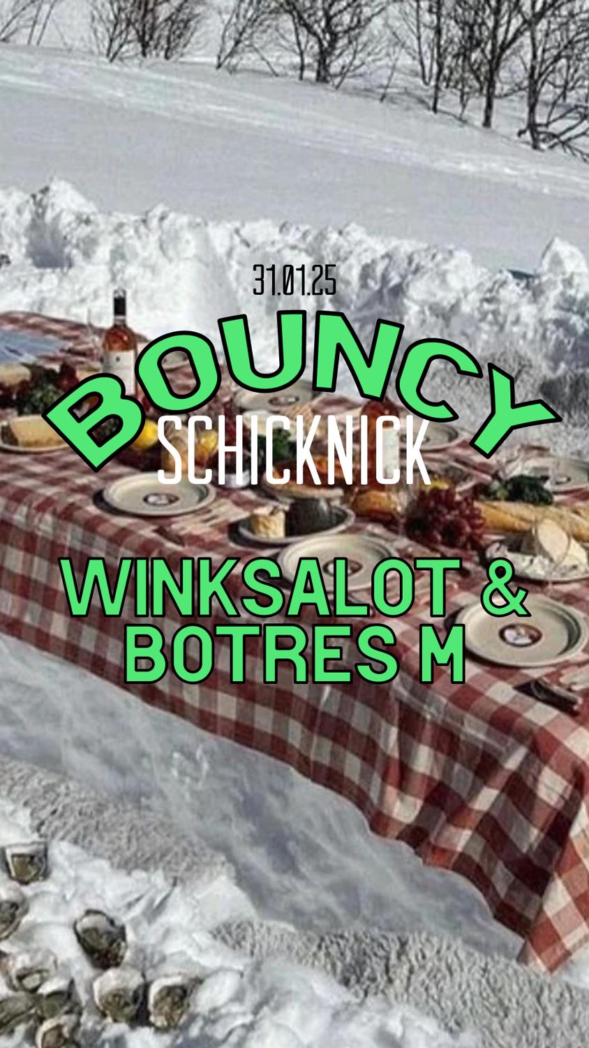 Bouncy Schicknick: Botres M · Winksalot