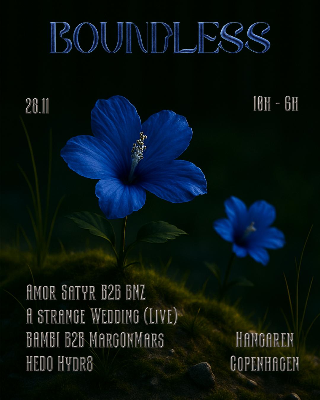 Boundless X Bambi / A Strange Wedding (Live) / Amor Satyr & More 