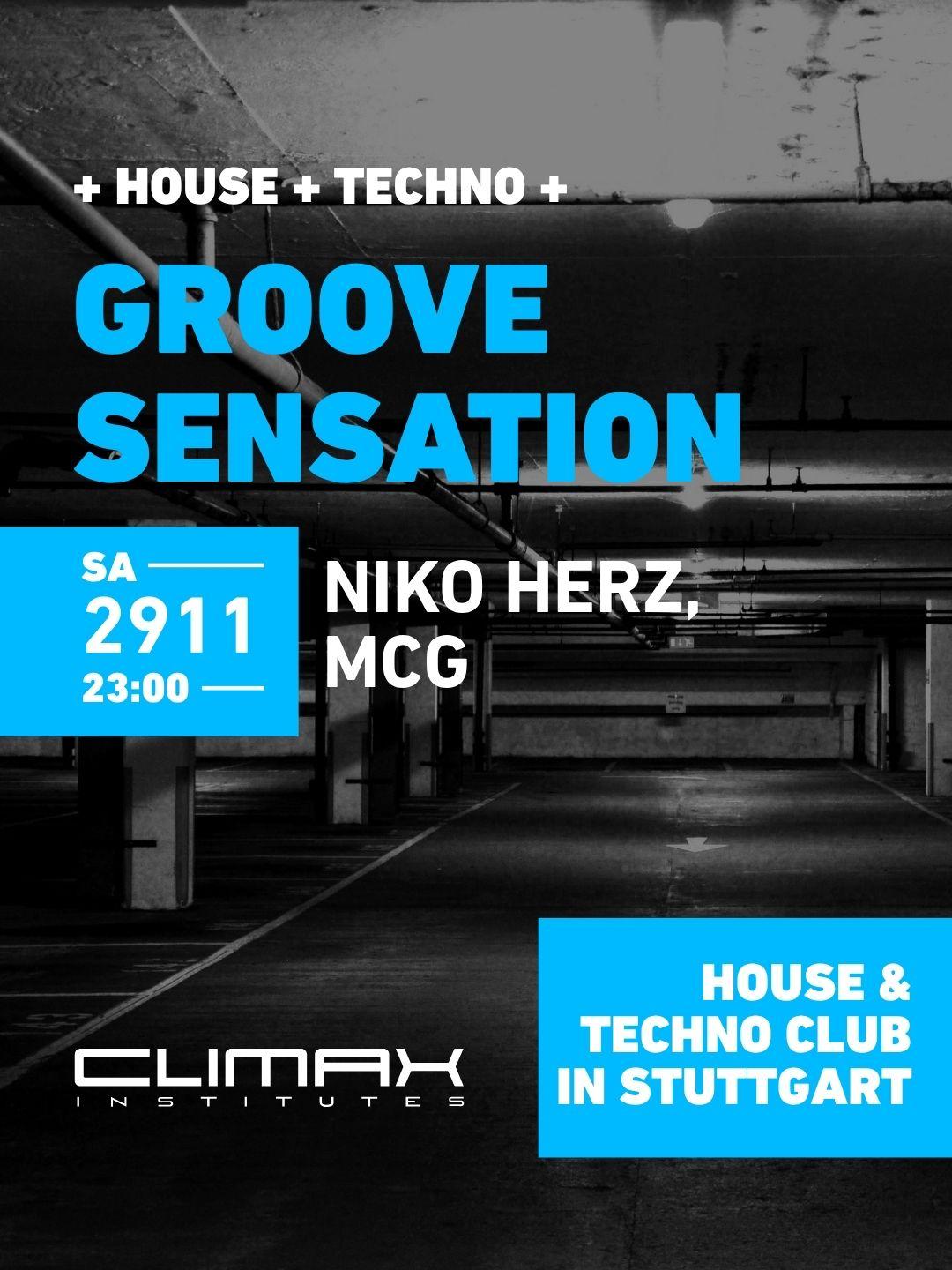 Groove Sensation W/Niko Herz, Mcg