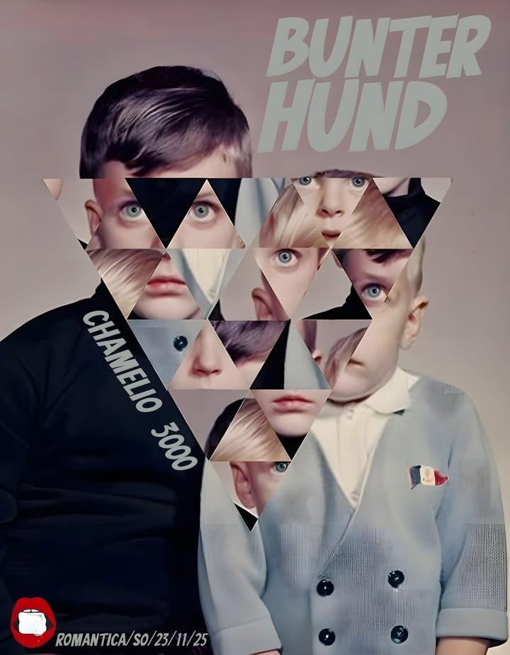 Bunter Hund Am Sonntag Mit Chamelio 3000