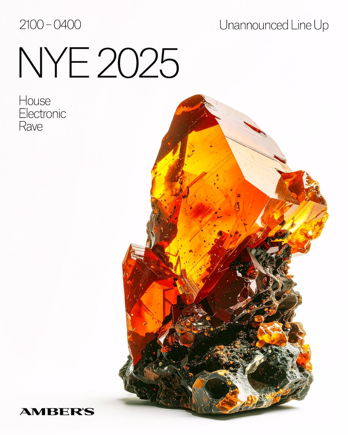 Nye At Amber'S - House - Electronic - Rave