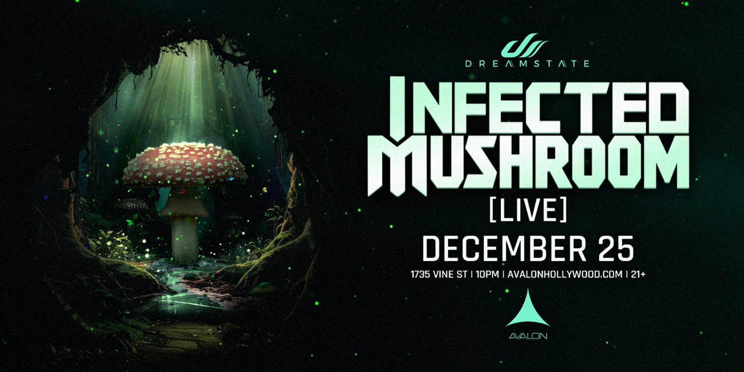 Dreamstate: Infected Mushroom