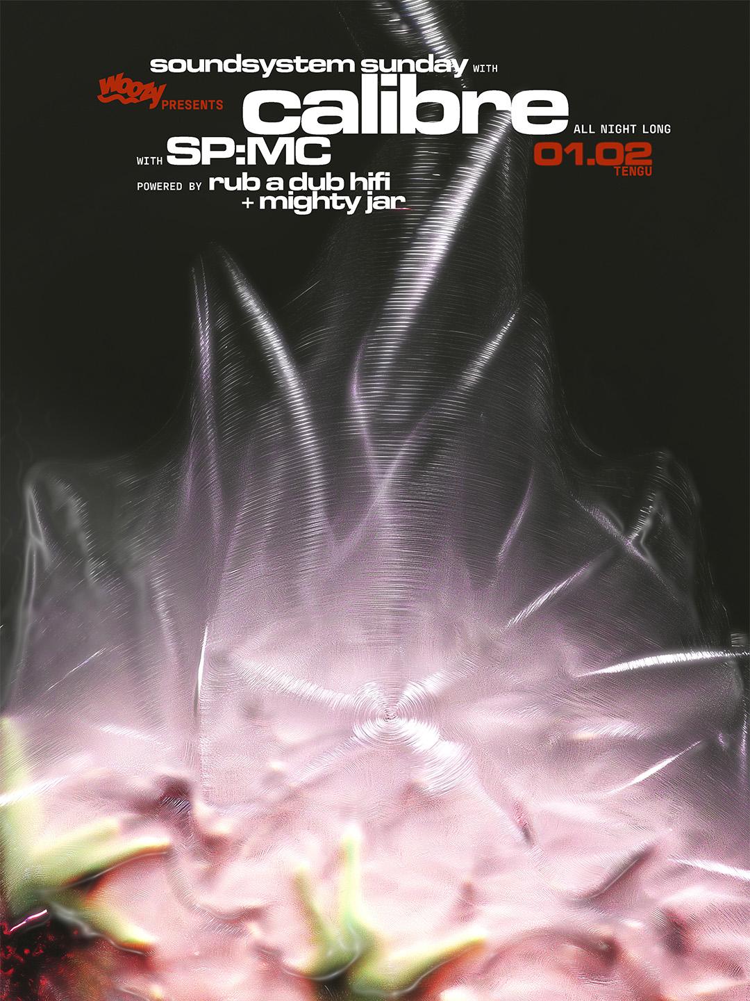 Soundsystem Sunday: Woozy: Calibre All Night Long, Hosted By Sp:Mc, Powered By Rub A Dub Hifi