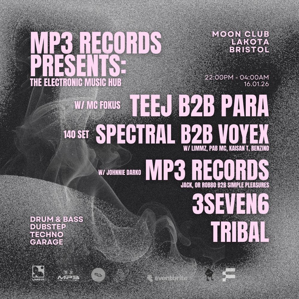 Mp3 Records Presents: The Electronic Music Hub
