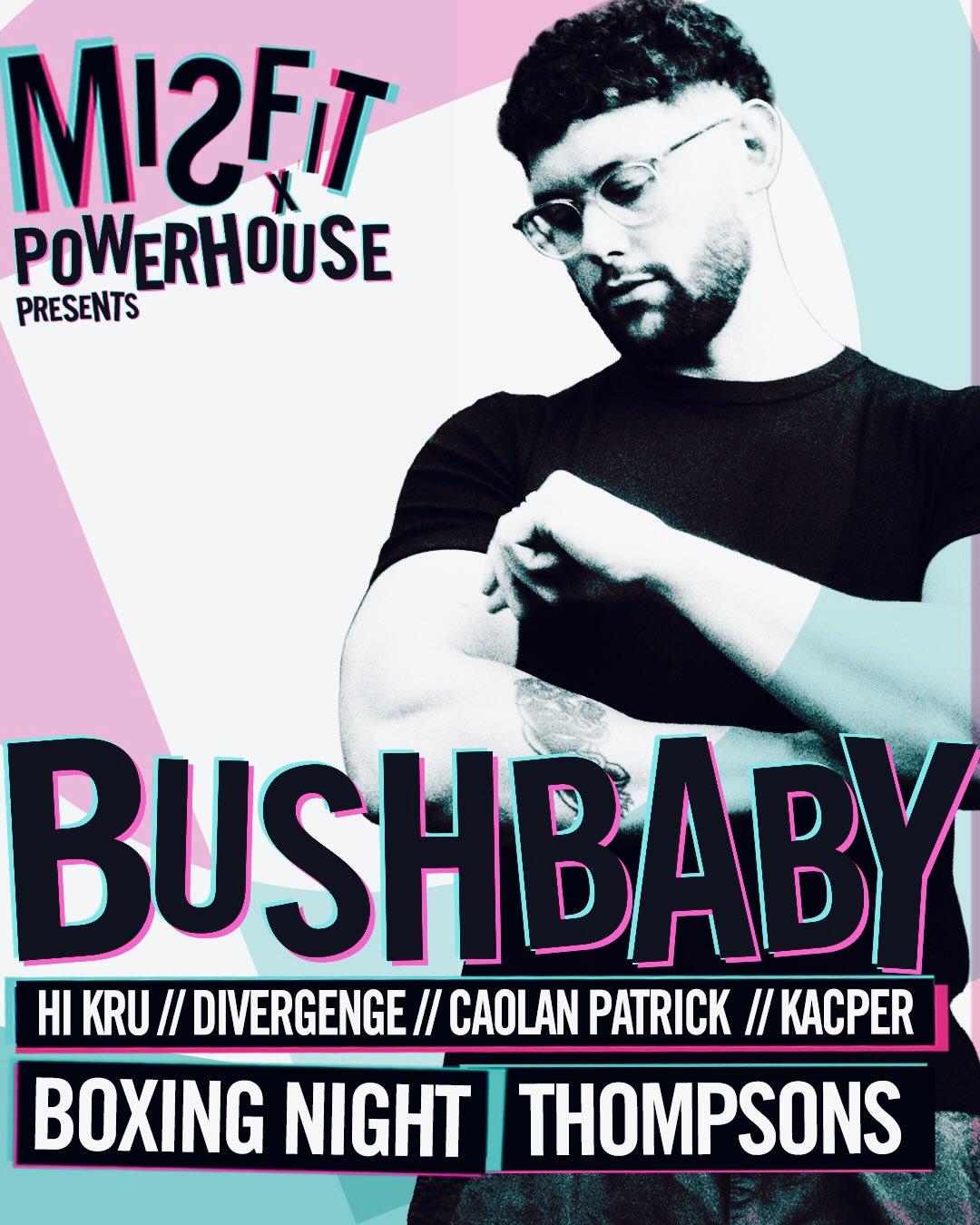 Powerhouse X Misfit: Bushbaby