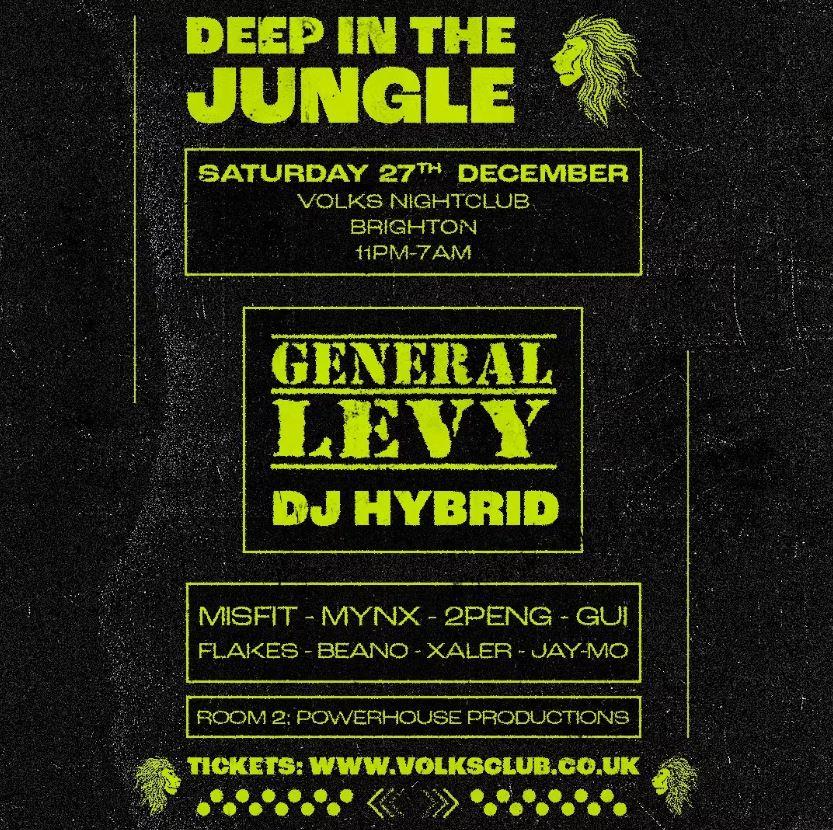 Deep In The Jungle: General Levy & Dj Hybrid