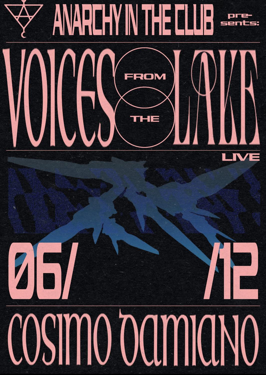 Anarchy With Voices From The Lake (Live) + Cosimo Damiano