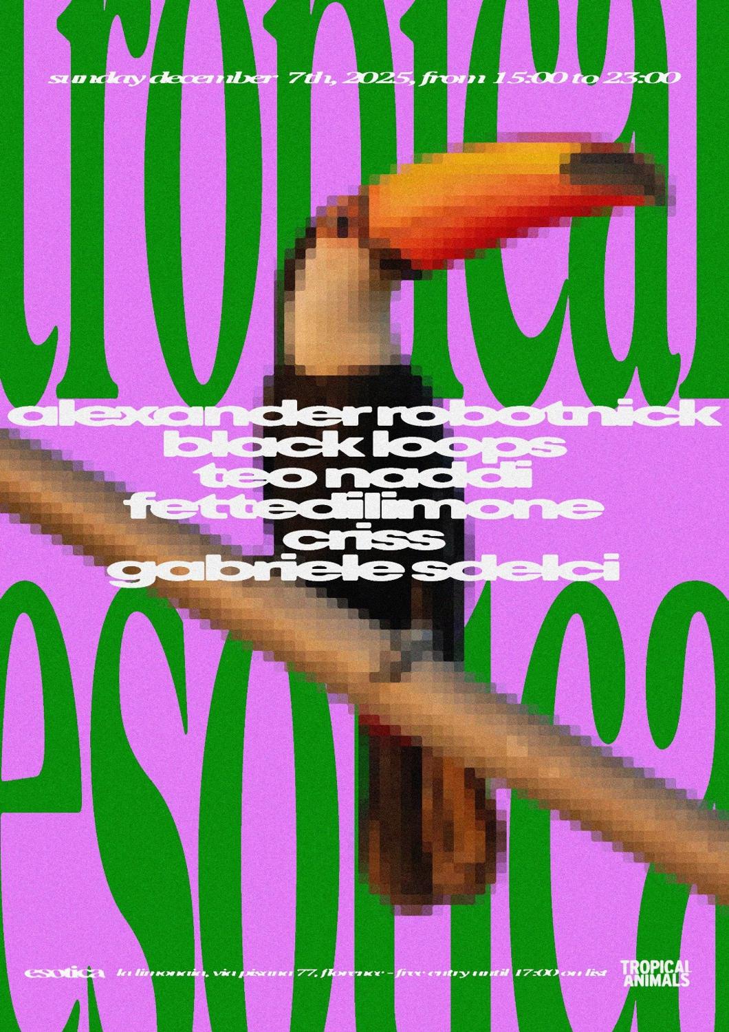 Tropical Animals X Esotica