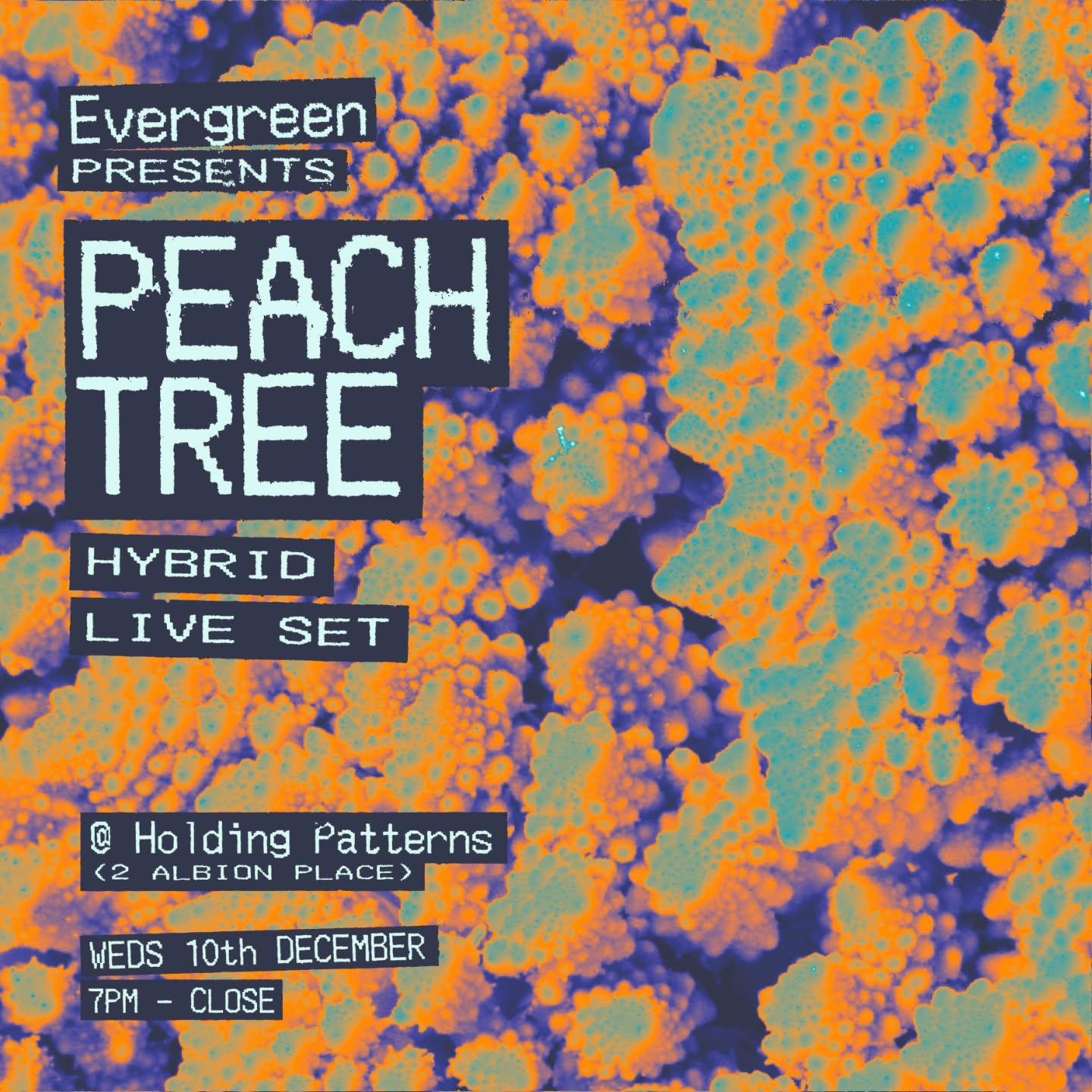 Evergreen Presents: Peach Tree (Hybrid Live)