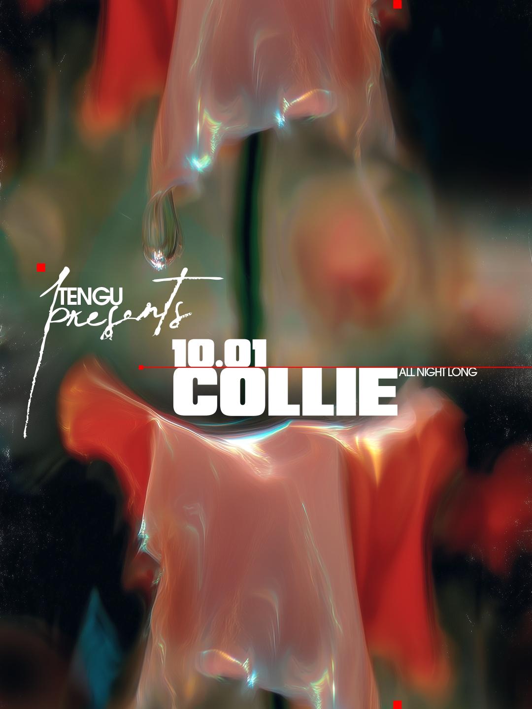 Tengu Presents: Collie All Night Long