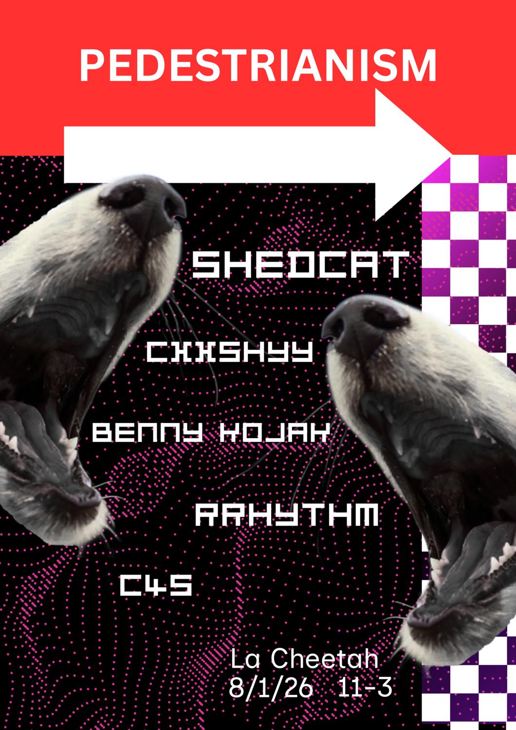 Pedestrianism 9: Kick Off