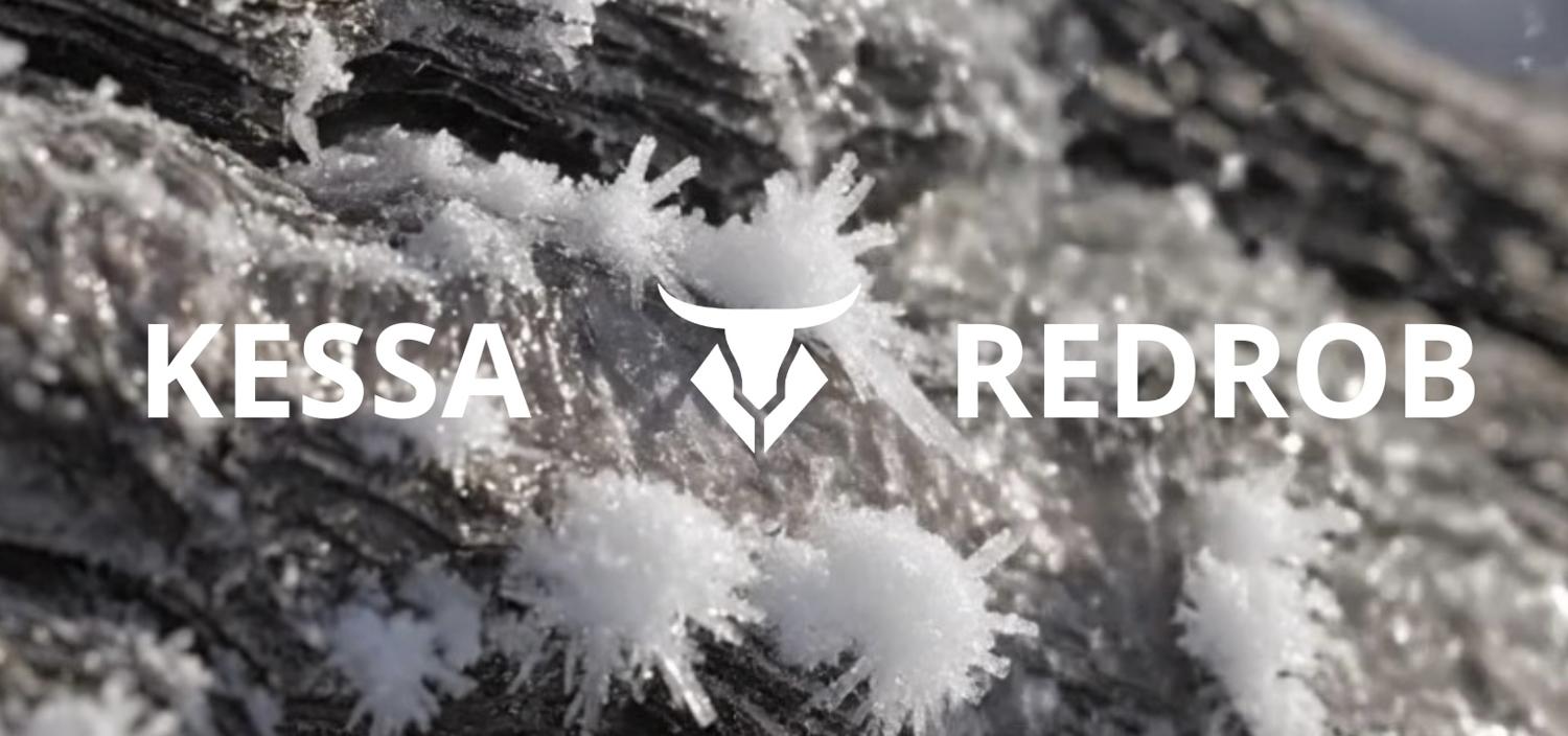 Technobull Night - Kessa (Wired/It) & Redrob