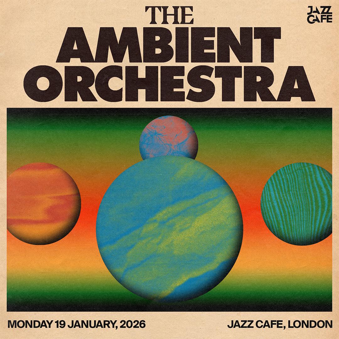 Music For Healing: The Ambient Orchestra