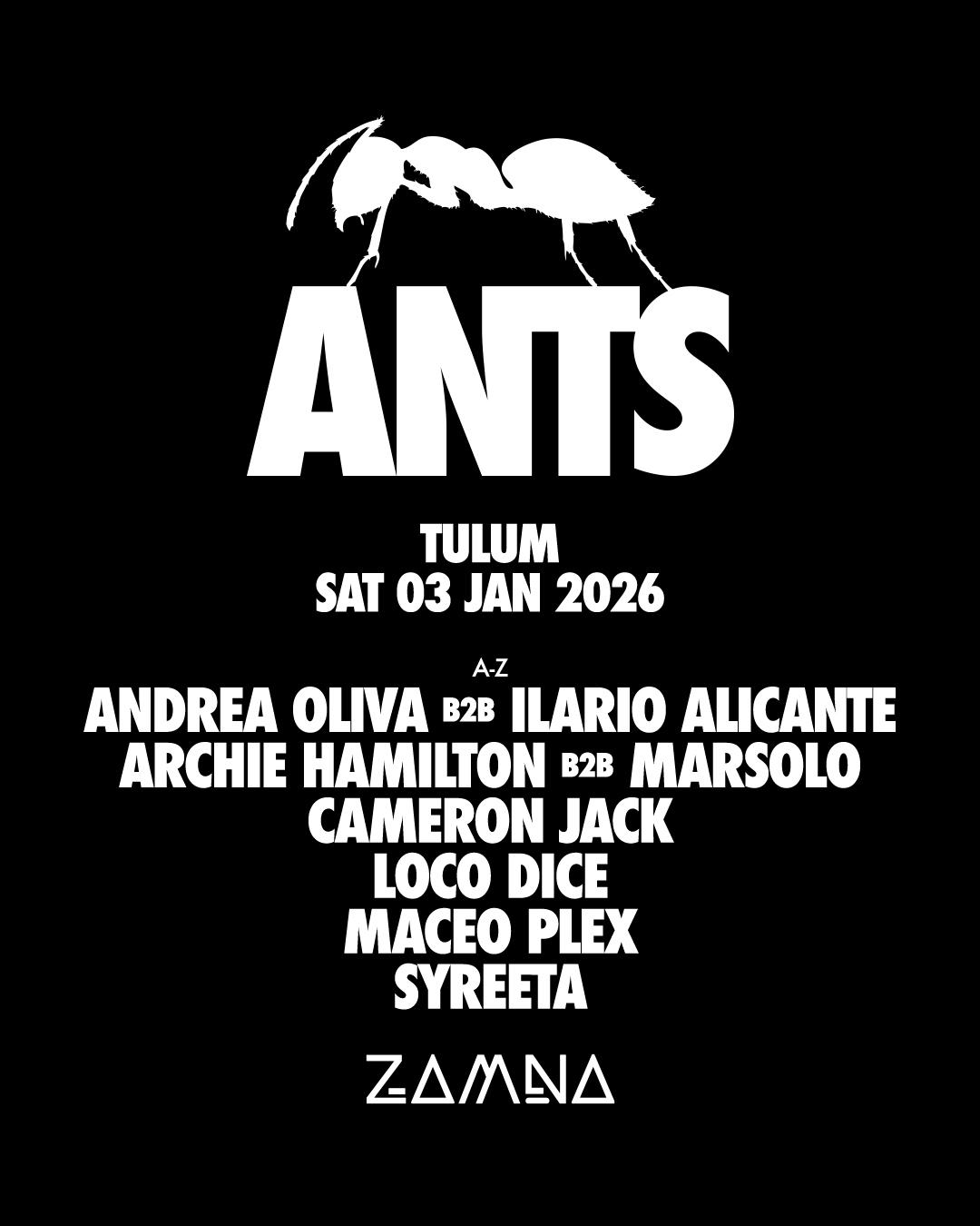 Ants Zamna Tulum - January 3Rd