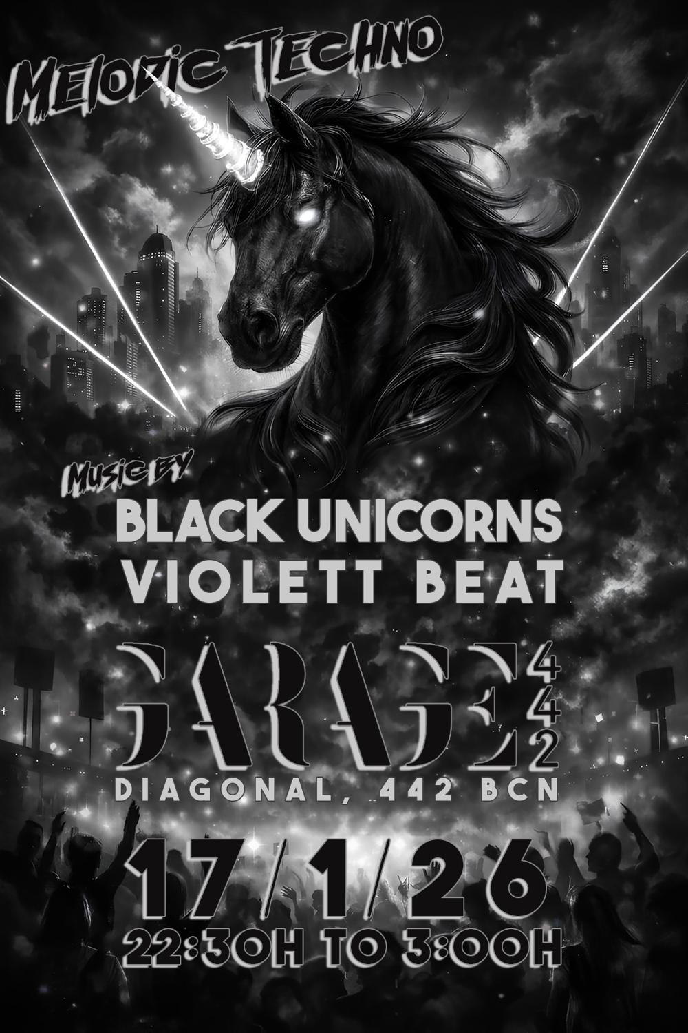 Black Unicorns Party