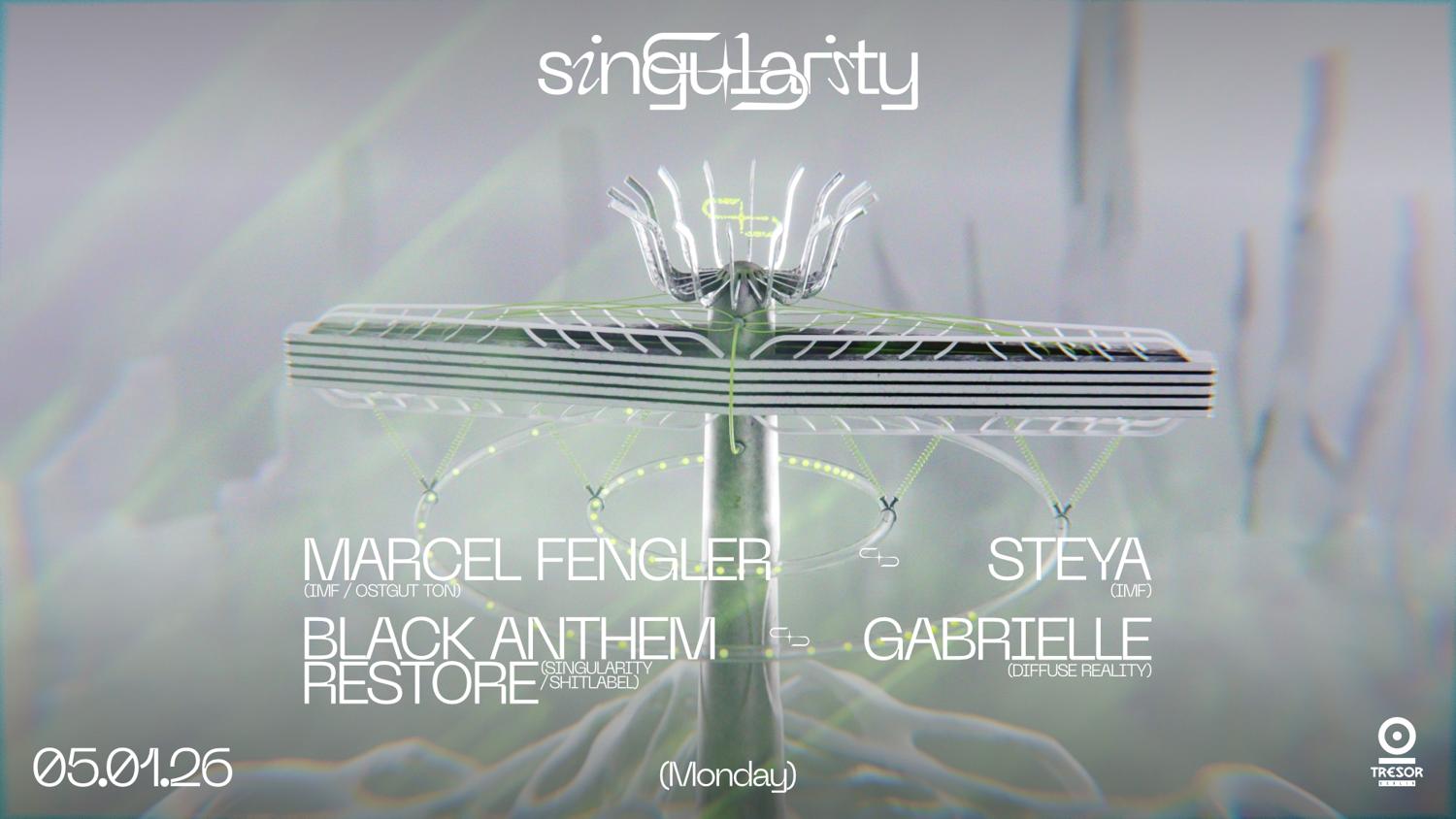◥◣Singularity◥◣