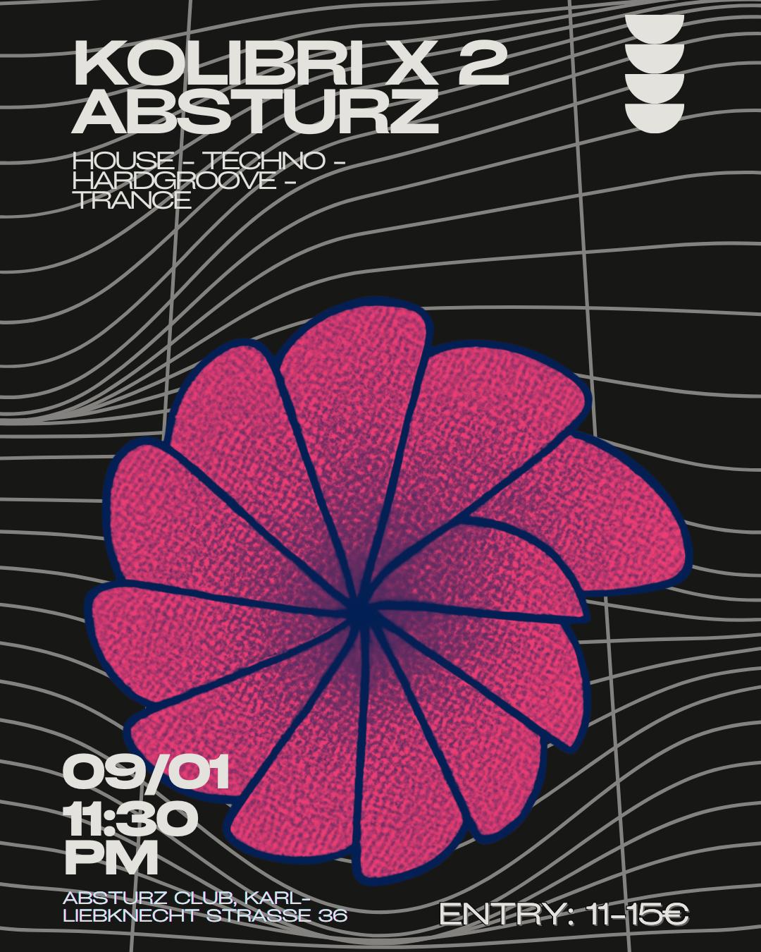 Kolibri X Absturz Vol.2