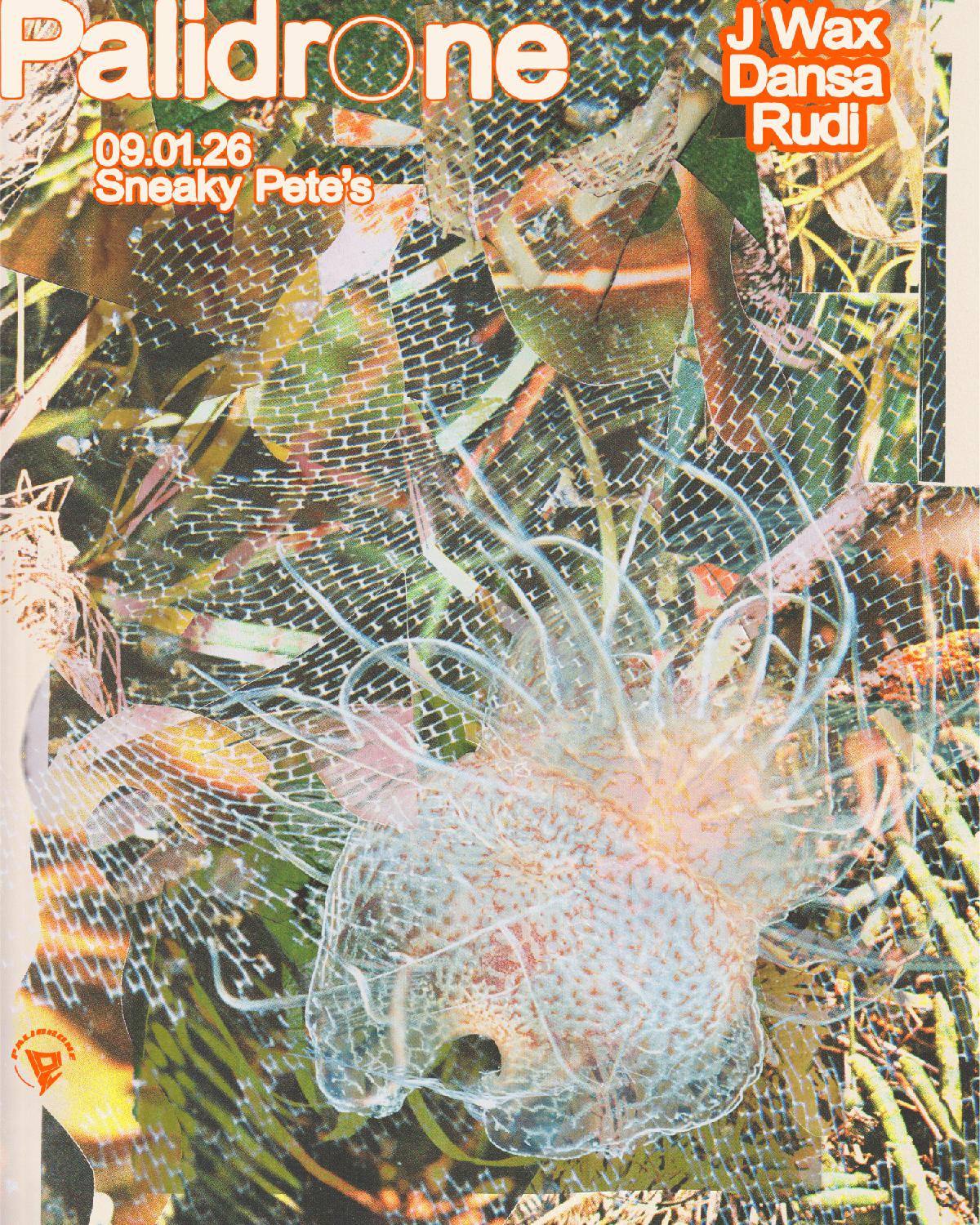 Palidrone: J Wax (Future Classic), Dansa (Luckyme), Rudi