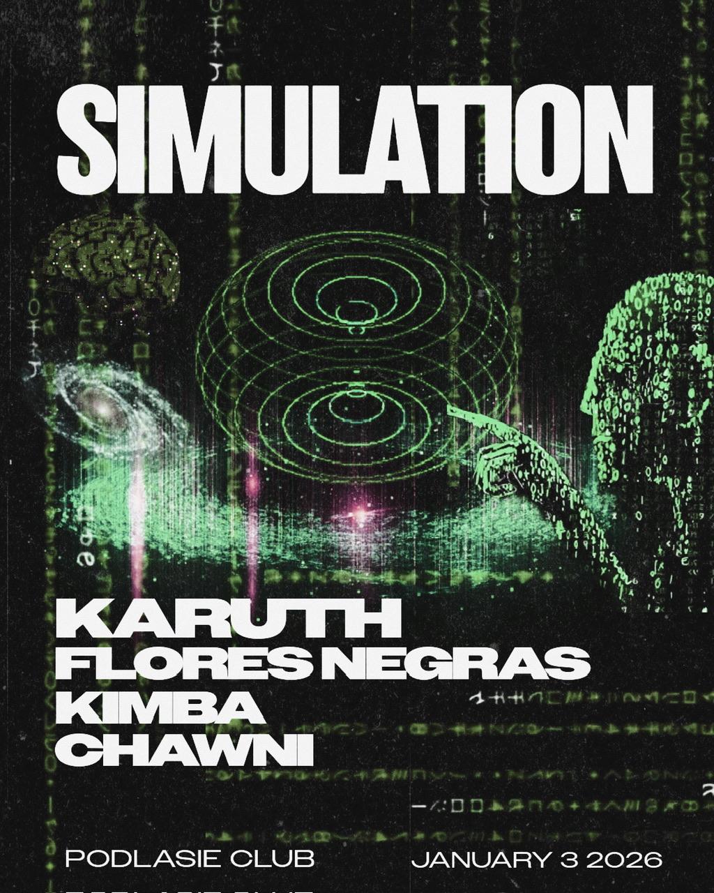 Simulation