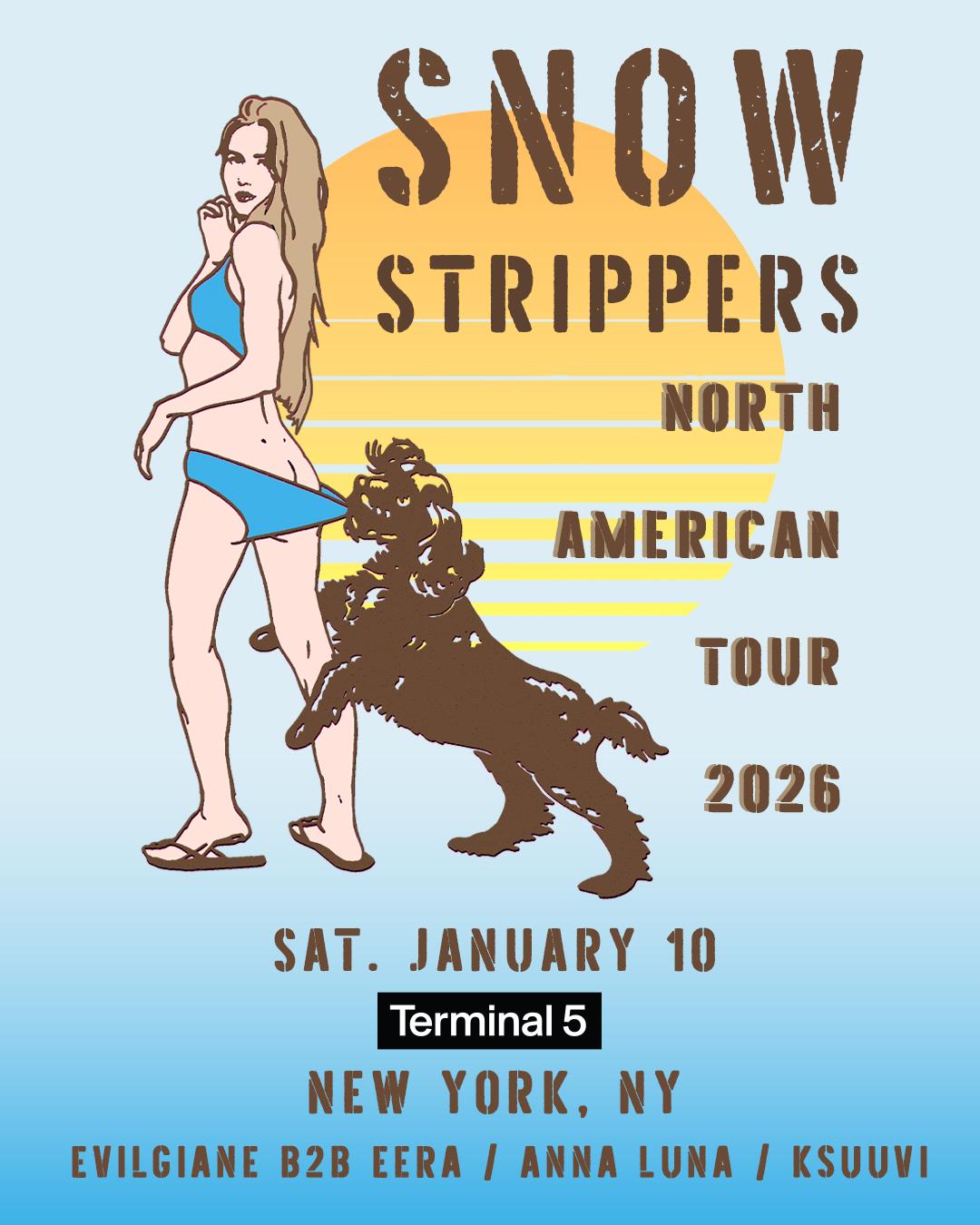 Snow Strippers